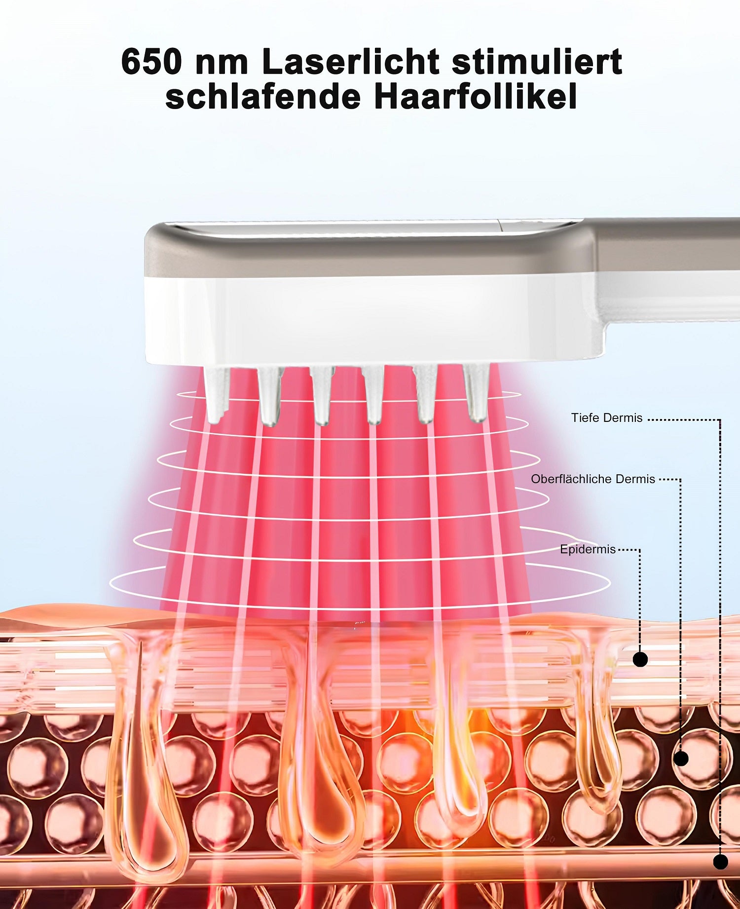 Laserlicht mit 650 nm stimuliert Haarfollikel tief in der Kopfhaut